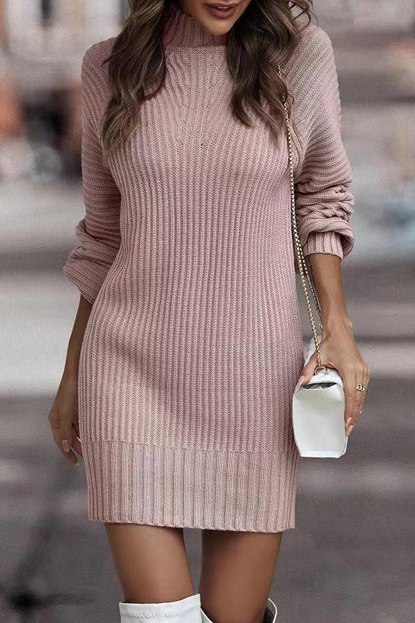 Rieuh Turtleneck Long Sleeve Knitted Mini Dress