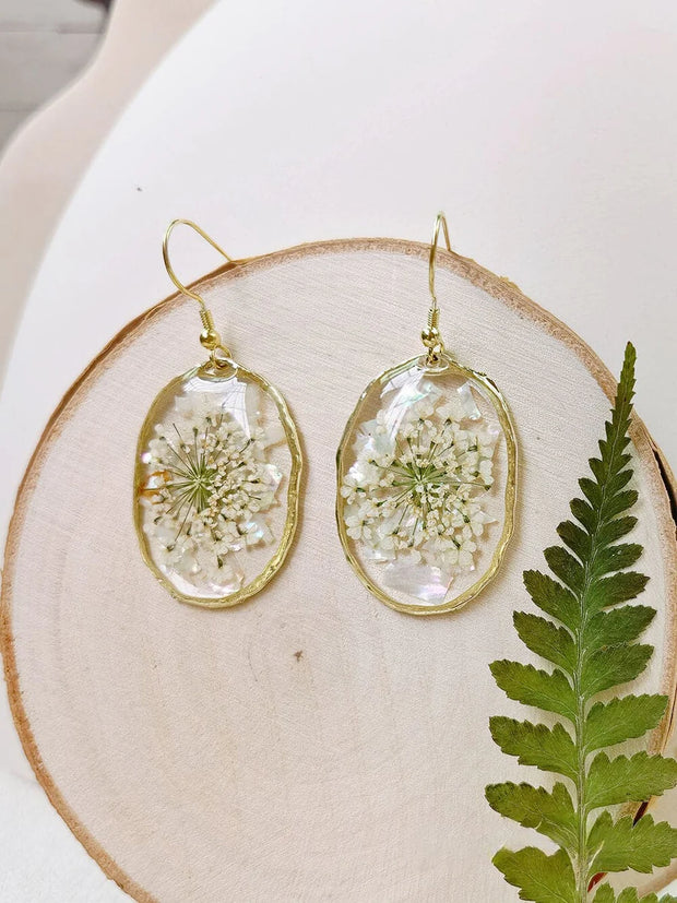 Resin Pressed Flower Earrings - Gold Shell Queen Anne's Lace