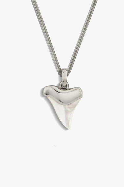 Shark Tooth Silver Necklace