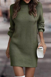 Rieuh Turtleneck Long Sleeve Knitted Mini Dress