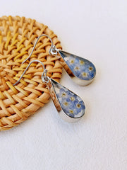 Pressed Flower Earrings - Water Drop Forget Me Not Flower