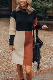 Winter Latte Knit Color Block Mock Neckline Sweater Mini Dress