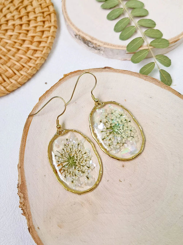 Resin Pressed Flower Earrings - Gold Shell Queen Anne's Lace