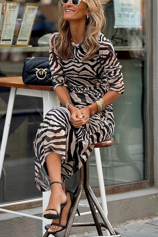 Natural Beauty Mesh Zebra Print Ruched Stretch Maxi Dress