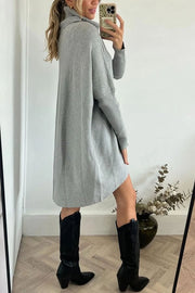 Perfect Winter Walks Knit Turtleneck High-low Hem Loose Midi Sweater